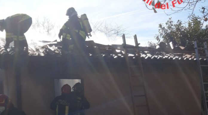 A fuoco un casottello degli attrezzi, intervento dei Vigili del Fuoco foto Vigili del Fuoco