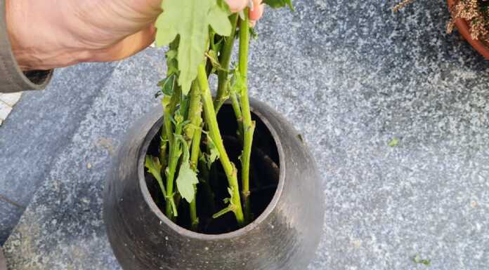 Lecco. Ancora furti di rame, ‘razziato’ il cimitero di Acquate