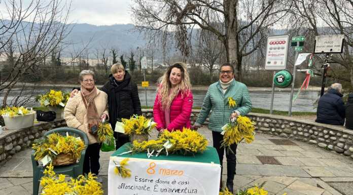 Calolzio. Le militanti della Lega regalano mimose a tutte le donne lega_mimose_festa_della_donna_2023