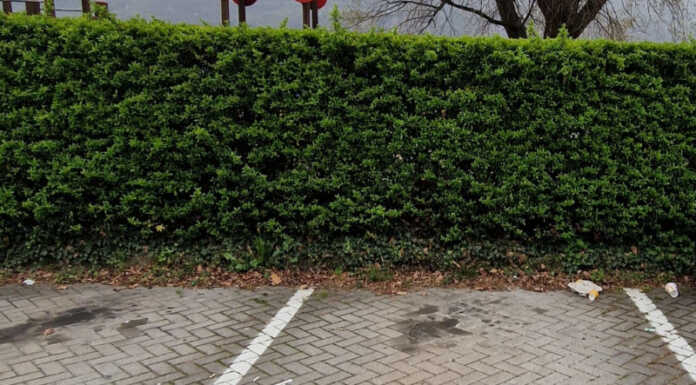Pescate. Parcheggio Torrette: “Grazie a chi sporca è diventato il nostro bancomat” rifiuti parco torrette pescate