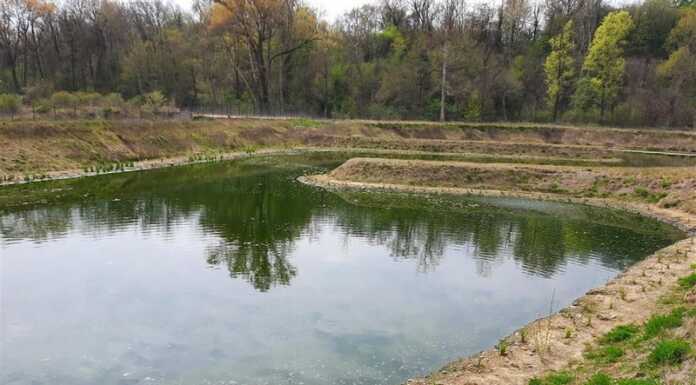 Lario Reti. Vasca di fitodepurazione a Lomagna, terminati i lavori Vasca fitodepurazione Lomagna