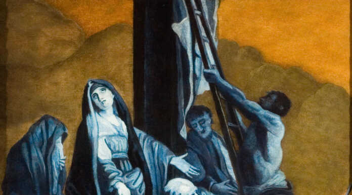 (S)Punti di Vista. “Oggi lascio parlare questa immagine…”