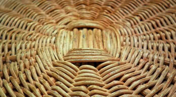 Festival della Sostenibilità: in arrivo “cestai” da tutta Italia