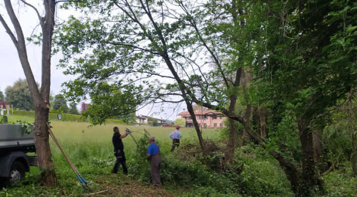 Merate: gli allievi degli Amis di Pumpier al lavoro a San Rocco