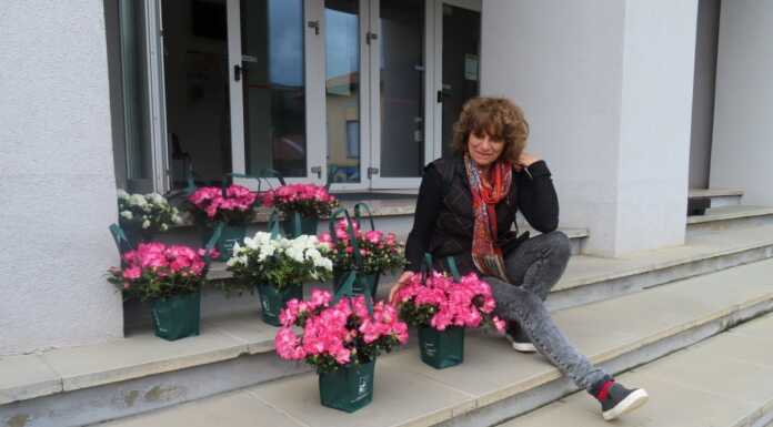 La Polisportiva Monte Marenzo area sociale torna in piazza con le azalee della ricerca Monte_Marenzo_Azalee_Airc