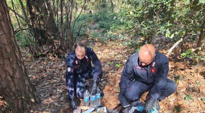 Comasco, i carabinieri ‘cacciatori’ nei boschi per combattere lo spaccio