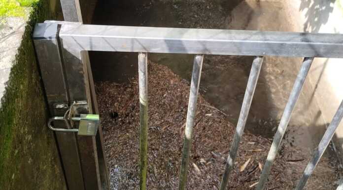 Vasche di sedimentazione, l’assessore Zuffi: “La manutenzione si fa”