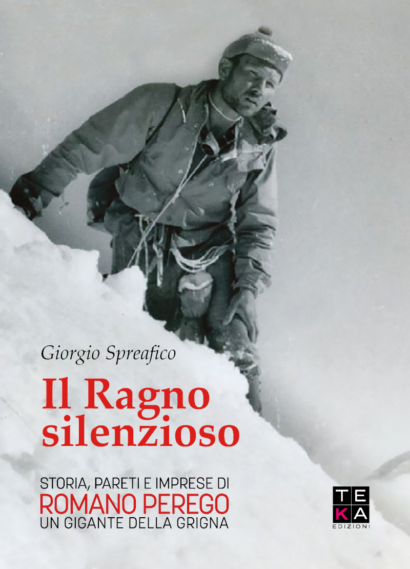 Il Ragno silenzioso libro