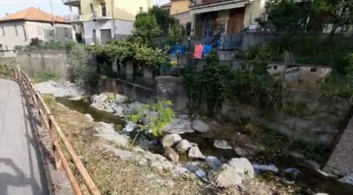 Concluso il primo lotto di lavori di manutenzione del torrente Gallavesa L'area del Gallavesa dopo l'intervento di pulizia