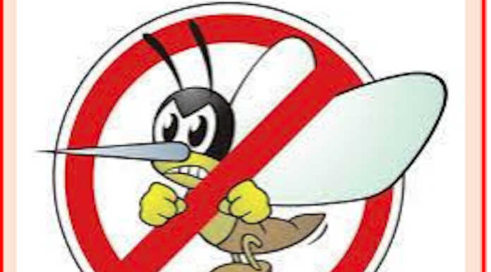 Merate, lotta alle zanzare con bat box, pastiglie larvicida e disinfestazioni