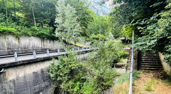 Laorca. Il letto del torrente Calolden è diventato un bosco Torrente Calolden alberti