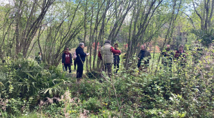Antico percorso di fede dell’Alta Brianza: nuove opere lo animereanno Antico percorso fede Alta Brianza Land Art