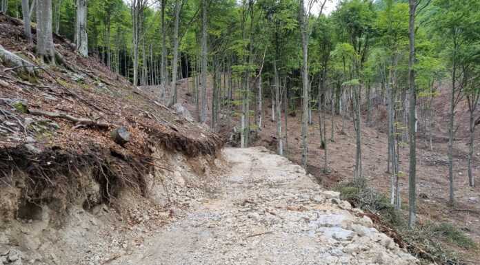 Morterone. “Pista tagliafuoco necessaria per la manutenzione dei boschi” Morterone Resegone agrosilvopastorale