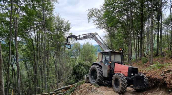 ‘Strada’ nei boschi a Morterone, la lettera al sindaco: “L’equilibrio va preservato” Morterone Resegone agrosilvopastorale