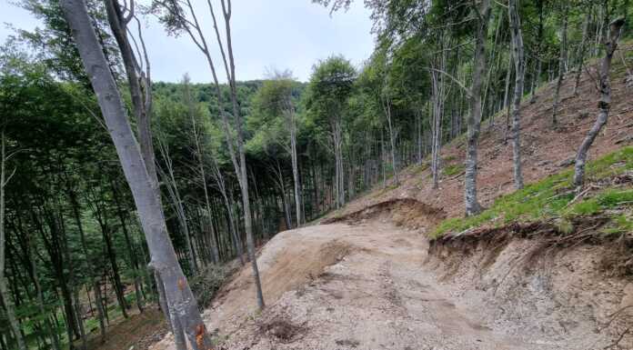 Strada a Morterone e Piano Indirizzo Forestale, perplessità e riflessioni del Cai Lecco Morterone Resegone agrosilvopastorale