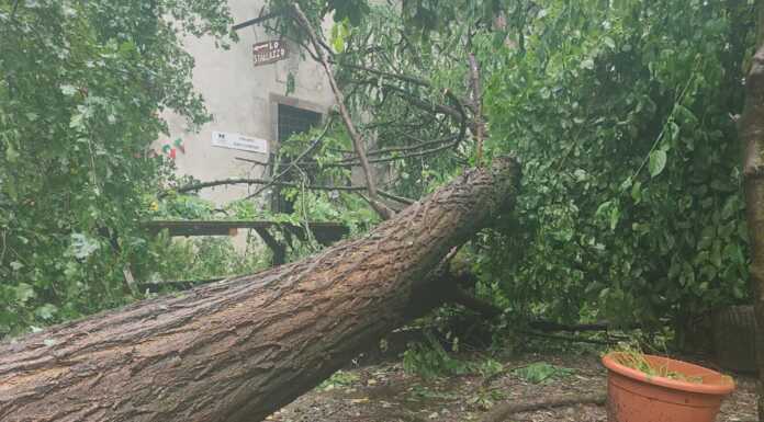 Paderno, nonostante l’ordinanza bici e pedoni sull’alzaia dell’Adda: “E’ pericoloso” maltempo stallazzo paderno alzaia adda
