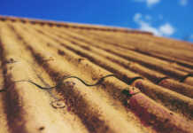 Lombardia: approvata la nuova legge sui dispositivi di protezione anti-amianto Amianto Pixabay generica