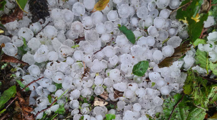 Chicchi di grandine ricoprono il Passo del Fo di un suggestivo (e insolito) tappeto Chicchi di grandine Passo del Fo
