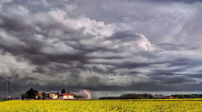 Regione Lombardia, conta dei danni nell’agricoltura: “Pronti a chiedere lo stato di calamità”