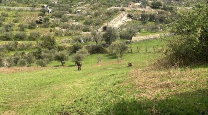 Mandello. Somana e via Zelioli: salterà il collegamento Mandello località Prabello