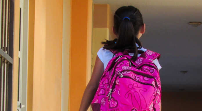 Il Comune di Molteno cerca volontari per i servizi scolastici 2025-2026 studente scuola pixabay