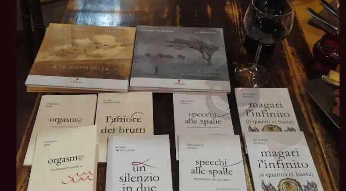 Merate: show di poesia per il settimo appuntamento di IoTeatroTuSedia