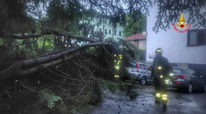 Maltempo, alberi caduti e disagi nella notte. Allerta arancione fino alle 18 di stasera