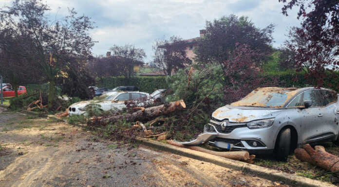 Maltempo: a Merate alberi caduti sulla cabina dell’Enel e su auto in sosta