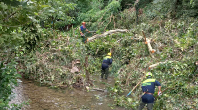 Maltempo, Protezione civile di Merate al lavoro per pulire il fosso del Calendone