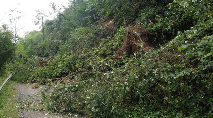 Rischio frana: chiude l’alzaia sull’Adda tra Paderno e Cornate
