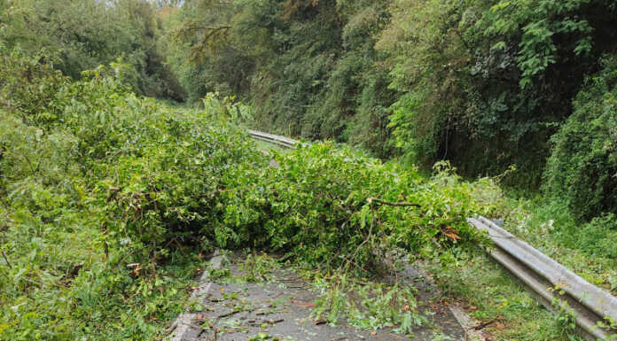 Paderno, ancora danni del maltempo lungo l’alzaia: di nuovo chiuso il sentiero