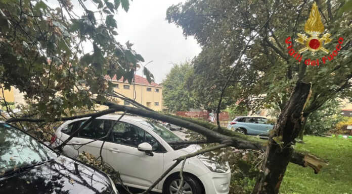 Maltempo. Una pianta piomba su un’auto a Dervio Pianta auto dervio