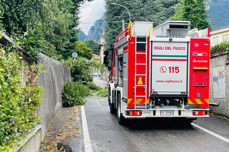 Vigili del Fuoco in via Caldone a Lecco per una pianta caduta in strada