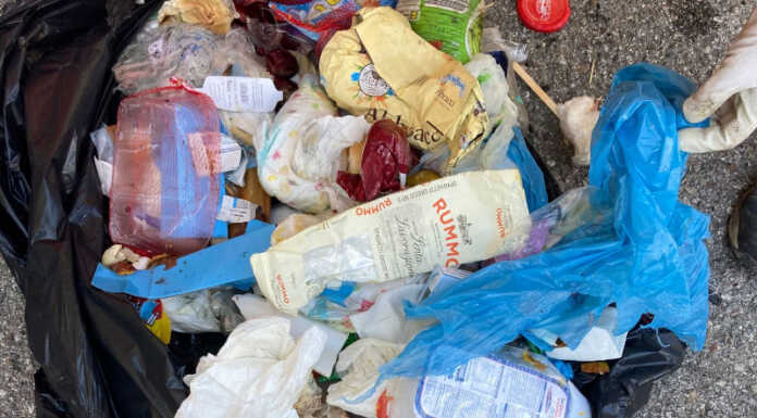 Ballabio. Rifiuti abbandonati nei boschi, multa salata al colpevole Rifiuti abbandonati nei boschi a Ballabio