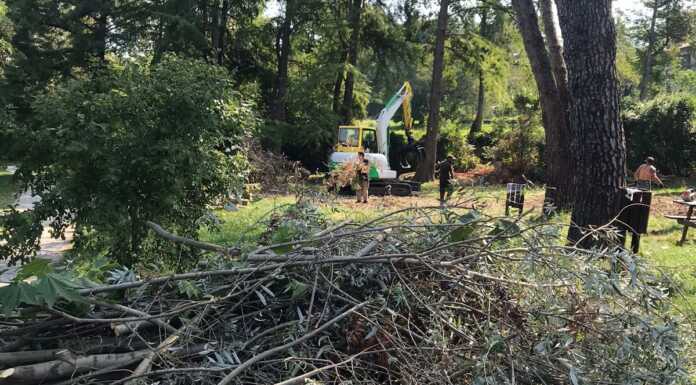 Riserva Lago di Sartirana: dopo il nubifragio la parziale riapertura Riserva_Sartirana_Merate_riapertura_20230826