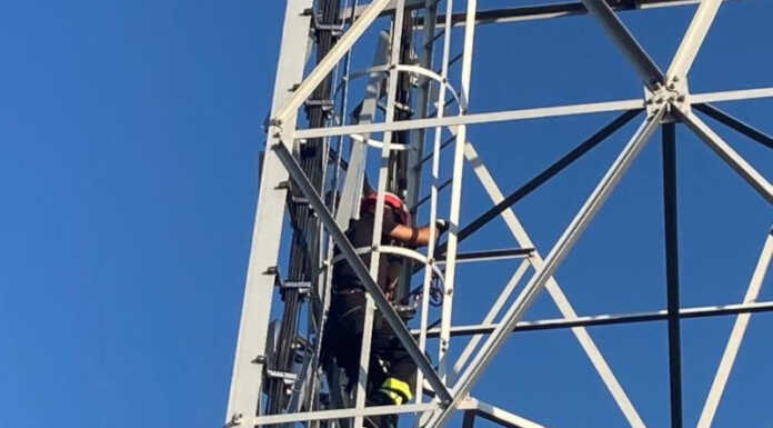 Casargo. Rondini bloccate nei cavi di un traliccio, liberate dai Vigili del Fuoco Vigili del fuoco casargo narro
