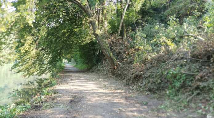 Imbersago, riapre la strada dell’alzaia. Era stata chiusa dopo il nubifragio