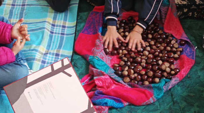 Torna “Libringiro”: libri fuori dalle biblioteche a portata di bambini