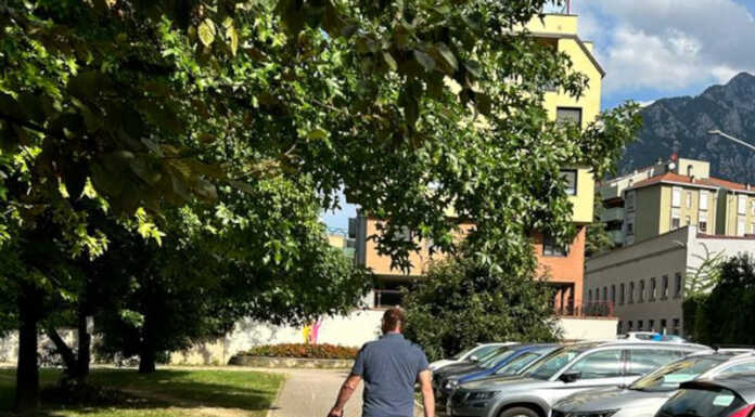 Pescarenico. Via dell’Isola invasa dalle piante: “Dateci un taglio” Via dell'isola