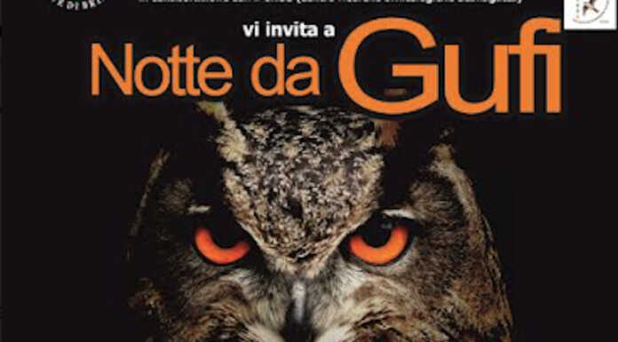 Una notte da gufi sul Monte di Brianza: aperte le iscrizioni per la passeggiata al buio