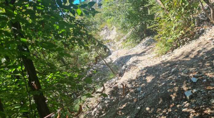 Viandante: servono interventi di manutenzione tra Lecco e Abbadia Sentiero_del_Viandante_Lecco_Abbadia_Criticità_20230925