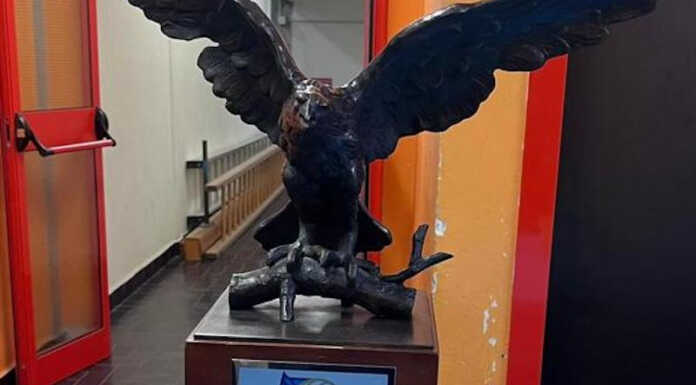 Eagle Cup, anche quest’anno la Picco organizza il torneo internazionale di volley giovanile pallavolo-eagle-cup