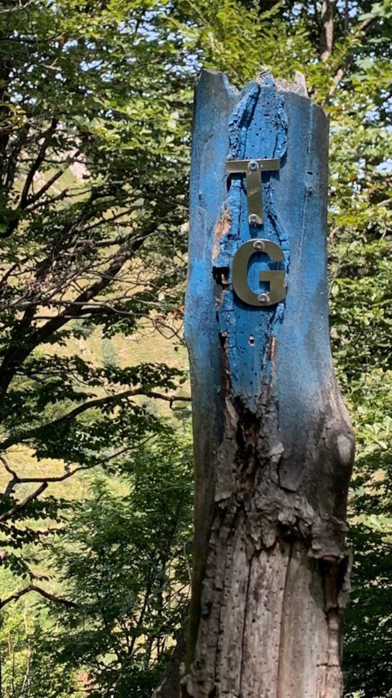 TGS Trail Grigne Sud