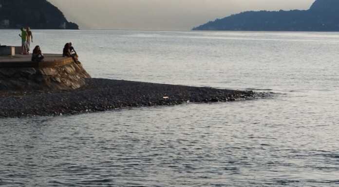 Avvistato nel lago…un cinghiale! Insolito ospite nelle acque di Bellano Bellano cinghiale bagno lago