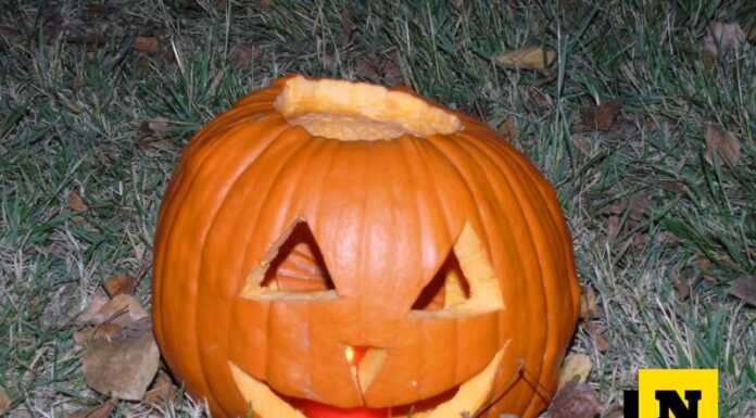 Halloween in provincia di Lecco: tutti gli eventi per vivere una festa da brividi Halloween zucca archivio