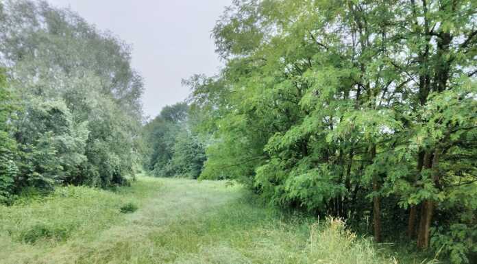 Molteno, il Circolo Ambiente Ilaria Alpi contro la tangenzialina: “Danneggerà il torrente Bevera”