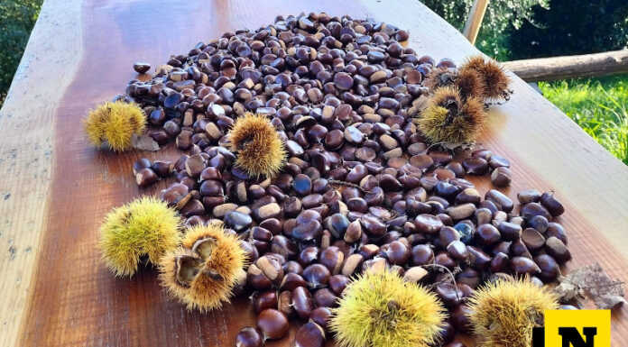 Campsirago: il 15 ottobre torna la festa della burolla