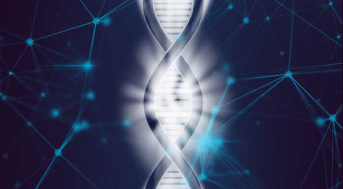 Al Liceo Grassi l’incontro “La medicina personalizzata nell’era della genomica” Genoma