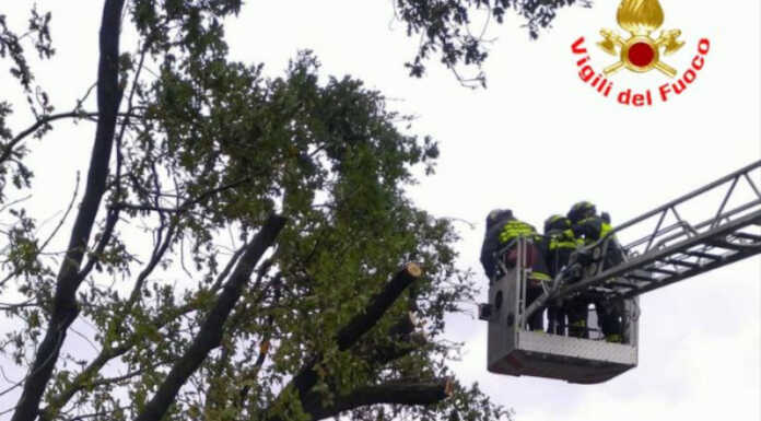 Maltempo, allagamenti e piante pericolanti, code lungo la SS36 Maltempo vigili del fuoco 20231031