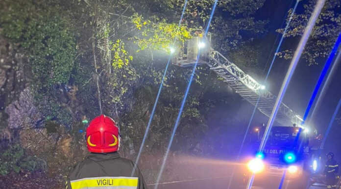 Piante pericolanti sulla SS754, Vigili del Fuoco al lavoro Vigili del Fuoco Bellano piante pericolanti